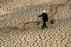 Một nông dân tìm kiếm nước trong một con sông cạn tại tỉnh Vân Nam. (Nguồn: EPA)