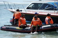 Ảnh minh họa. (Nguồn: Internet)