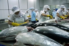 Ảnh minh họa. (Nguồn: vasep.com.vn)