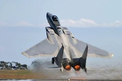 Máy bay F-15. (Nguồn: aircraftrecognition.co.uk) 