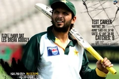 Ảnh minh họa. (Nguồn: cricketsportsman.blogspot.com)