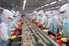 Tập đoàn thủy sản Minh Phú chuyên chế biến tôm xuất khẩu. (Ảnh: Trần Việt/TTXVN)