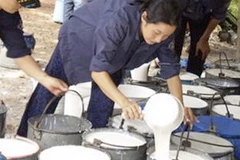 Ảnh minh họa. (Nguồn: Internet)