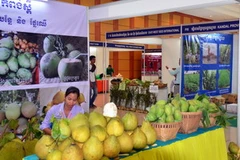 Một gian hàng tại Hội chợ triển lãm rau và trái cây Campuchia 2013. (Ảnh: Xuân Khu/Vietnam+) 
