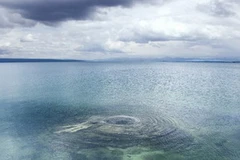 (Nguồn: redorbit.com)