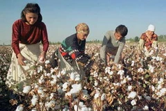 Ảnh minh họa. (Nguồn: guardian.co.uk)