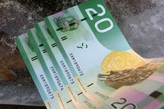 Ảnh minh họa. (Nguồn: torontolife.com)