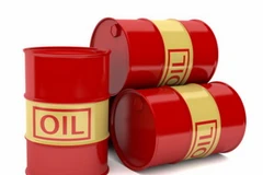 Ảnh minh họa. (Nguồn: topnews.net.nz)