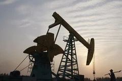 Ảnh minh họa. (Nguồn: Internet)