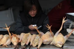 Gia cầm đã giết mổ được bày bán tại chợ ở Hợp Phì, tỉnh An Huy ngày 11/4. (Nguồn: AFP/ TTXVN)