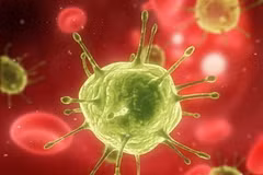 Virus HIV. (Nguồn: livescience.com)
