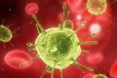 Virus HIV. (Nguồn: livescience.com)