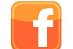 Ảnh minh họa. (Nguồn: stuffpoint.com)