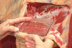 Ảnh minh họa. (Nguồn: theland.com.au)