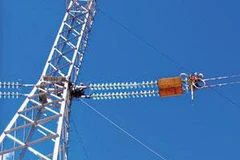 Ảnh minh họa. (Nguồn: Internet)