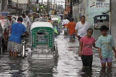 Bão Saola gây đình trệ giao thông ở Đài Loan. (Nguồn: appledaily.com.tw)