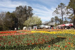 Lễ hội hoa Floriade tại thủ đô Canberra. (Ảnh: Võ Giang/Vietnam+)