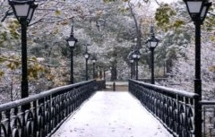 Cầu Tình yêu nổi tiếng. (Ảnh: vgorode.ua)