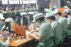 (Ảnh minh họa. Nguồn:Vietnam+)