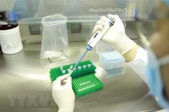 Thanh tra việc mua sắm trang thiết bị, vật tư y tế, bộ sinh phẩm xét nghiệm, vaccine, thuốc phòng, chống dịch COVID-19 tại một số địa phương. (Ảnh minh họa: Hoàng Hùng/TTXVN)