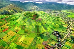 Tây Nguyên có nhiều tiềm năng lợi thế, đặc biệt là khí hậu thổ nhưỡng, tuy nhiên, (Ảnh: MPI cung cấp)