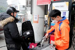 Giá xăng, dầu trong nước liên tục điều chỉnh từ đầu năm 2022. (Ảnh: PV/Vietnam+)