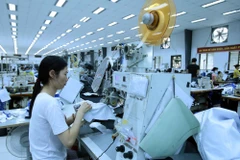 Khu vực kinh tế tư nhân phát triển thiên về số lượng và chất lượng phát triển thì hạn chế. (Ảnh minh họa. Nguồn: Vienam+)