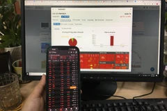 Không khí ảm đạm bao trùm thị trường chứng khoán, VN-Index rơi thẳng một mạch 45 điểm, về mức 1.029 điểm. (Ảnh: Vietnam+)