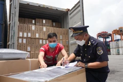 1.607 doanh nghiệp chế xuất đã được thông báo và thực hiện kiểm tra, xác nhận đáp ứng điều kiện của hải quan. (Ảnh: Vietnam+)