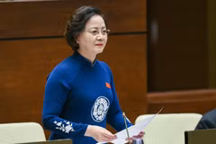 Bộ trưởng Bộ Nội vụ - Phạm Thị Thanh Trà rả lời chất vấn của các đại biểu Quốc hội, chiều ngày 4/11. (Ảnh: Quochoi.vn)