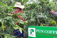 Chặng đường hai năm vượt 'bão COVID-19' là cuộc cách mạng của PUN Coffee. (Ảnh: CTV/Vietnam+)