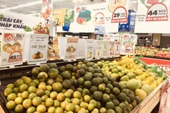 Bình quân 7 tháng của năm, CPI tăng 2,54% so với cùng kỳ năm ngoái và lạm phát cơ bản tăng 1,44%.(Ảnh: Vietnam+)