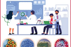 Việt Nam khống chế thành công nhiều dịch bệnh nguy hiểm