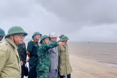 Bộ trưởng Bộ Nông nghiệp và Phát triển Nông thôn Lê Minh Hoan kiểm tra tại thành phố Móng Cái. (Ảnh: Thanh Vân/TTXVN)