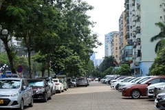 Ảnh minh họa. (Ảnh: Tuấn Anh/TTXVN)