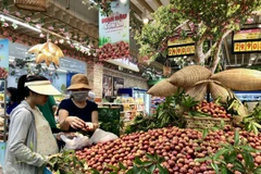 Sản phẩm mận hậu Sơn La. (Ảnh: Mỹ Phương/TTXVN)