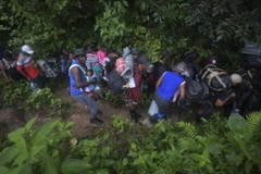 Người di cư băng qua rừng Darien Gap gần Choco (Colombia) để vào Panama. (Ảnh: AFP/TTXVN)