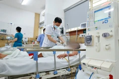 Ảnh minh họa. (Ảnh: Minh Quyết/TTXVN)