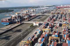 Chuyển đổi logistics thúc đẩy xuất khẩu hàng hóa sang thị trường EU