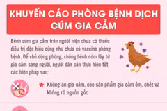 Những điều cần biết để phòng, chống bệnh dịch cúm gia cầm
