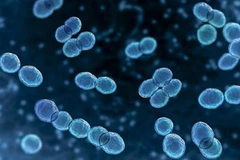 Tokyo báo cáo số ca mắc nhiều nhất với 145 ca.