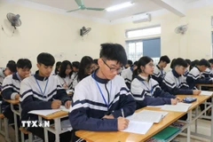 Ảnh minh họa. (Nguồn: TTXVN)