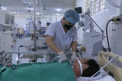 Bệnh nhân được chăm sóc tích cực tại Khoa Hồi sức tích cực-Chống độc, Bệnh viện Đa khoa tỉnh. (Nguồn: Báo Lào Cai)