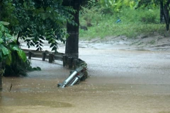 Quốc lộ 4D bị ngập sâu khiến nhiều phương tiện không thể di chuyển, sáng 9/9. (Ảnh: Quốc Khánh/TTXVN)