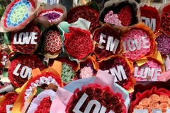 (Ảnh: Mỹ Phương/TTXVN)