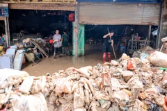 Những "núi" hàng hoá thành phế phẩm sau cơn lũ dữ. (Ảnh: Hoàng Hiếu/TTXVN)