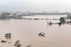 Đầu giờ chiều 11/9, mực nước trên sông Hồng tại Hà Nội đã gần báo động III. (Ảnh: Minh Quyết/TTXVN)