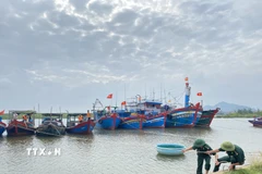 Ứng phó áp thấp nhiệt đới. (Nguồn: TTXVN)