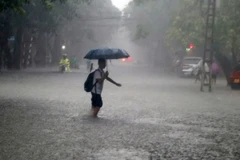 Các khu vực trên cả nước chiều tối và đêm đều có mưa. (Ảnh: Văn Tý/TTXVN)