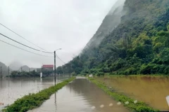 Đường giao thông và nhiều diện tích hoa màu ở xã Nam Tuấn, huyện Hòa An bị ngập trong nước lũ. (Ảnh: TTXVN phát)